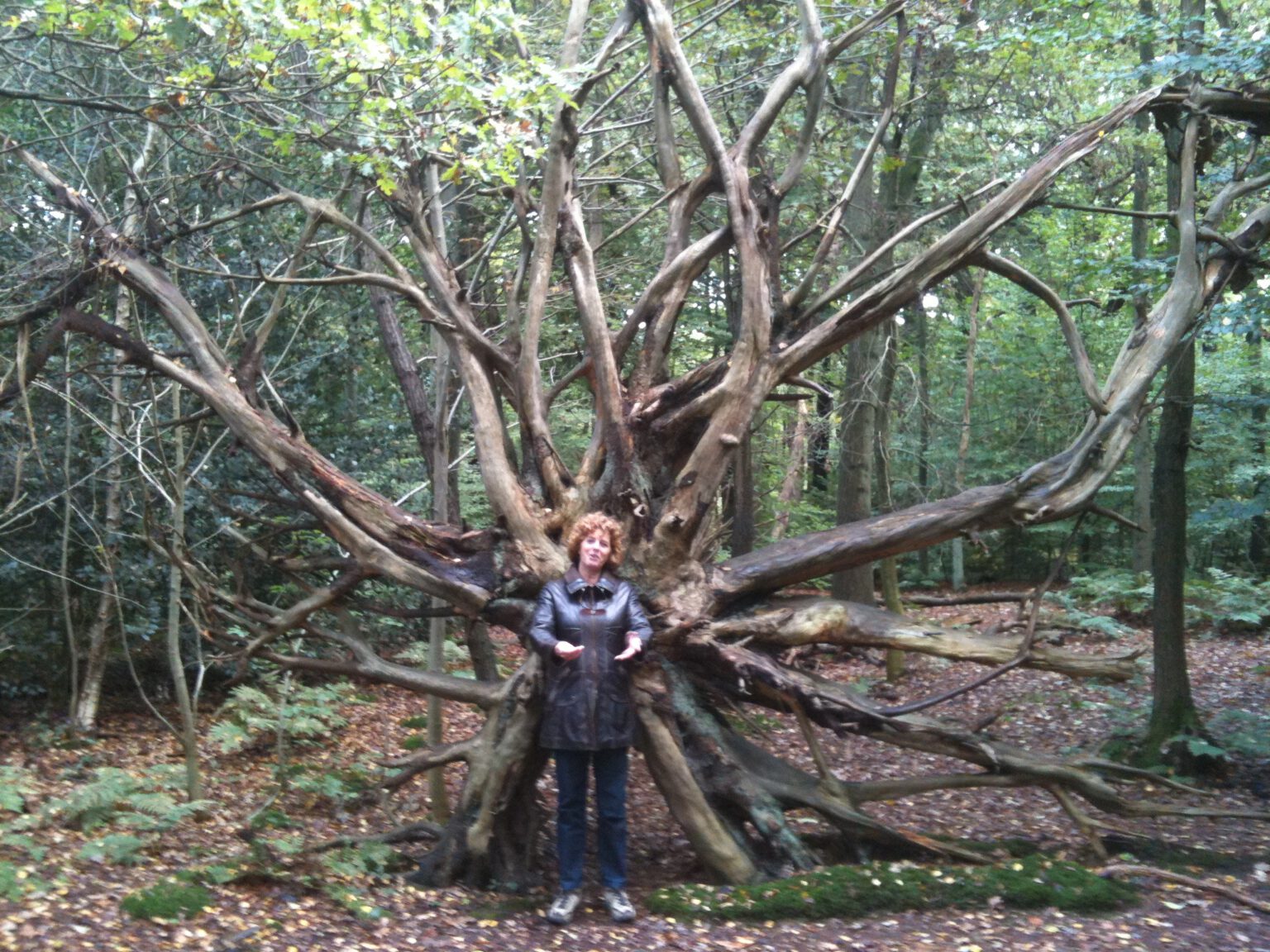 Wandelen in de ‘s-Gravelandse buitenplaatsen