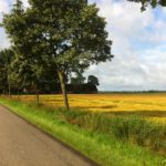 2012-Drenthe-20120719_092710