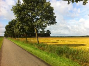 2012-Drenthe-20120719_092710